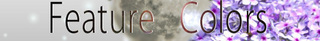 fc_banner.jpg